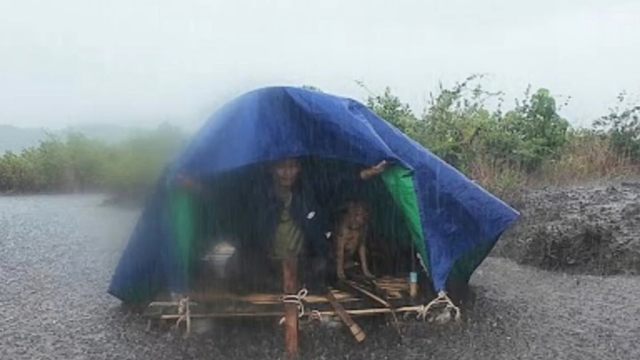 在漂浮的木筏上应对极端暴雨 ，和我的狗狗一起搭建庇护所！