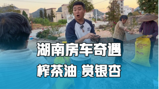 解锁湖南房车奇遇，榨茶籽油，赏银杏，炖一锅油润排骨