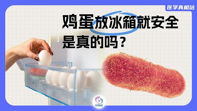 鸡蛋放冰箱就安全是真的吗？