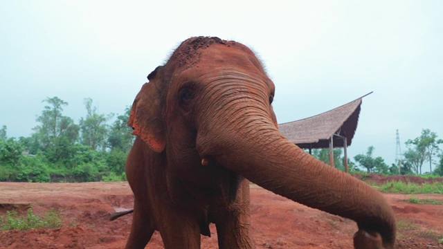 庄布ee的日常again