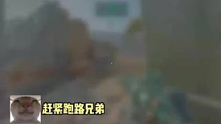 拯救大兵就是要見好就收，合理運(yùn)用哈弗幣。