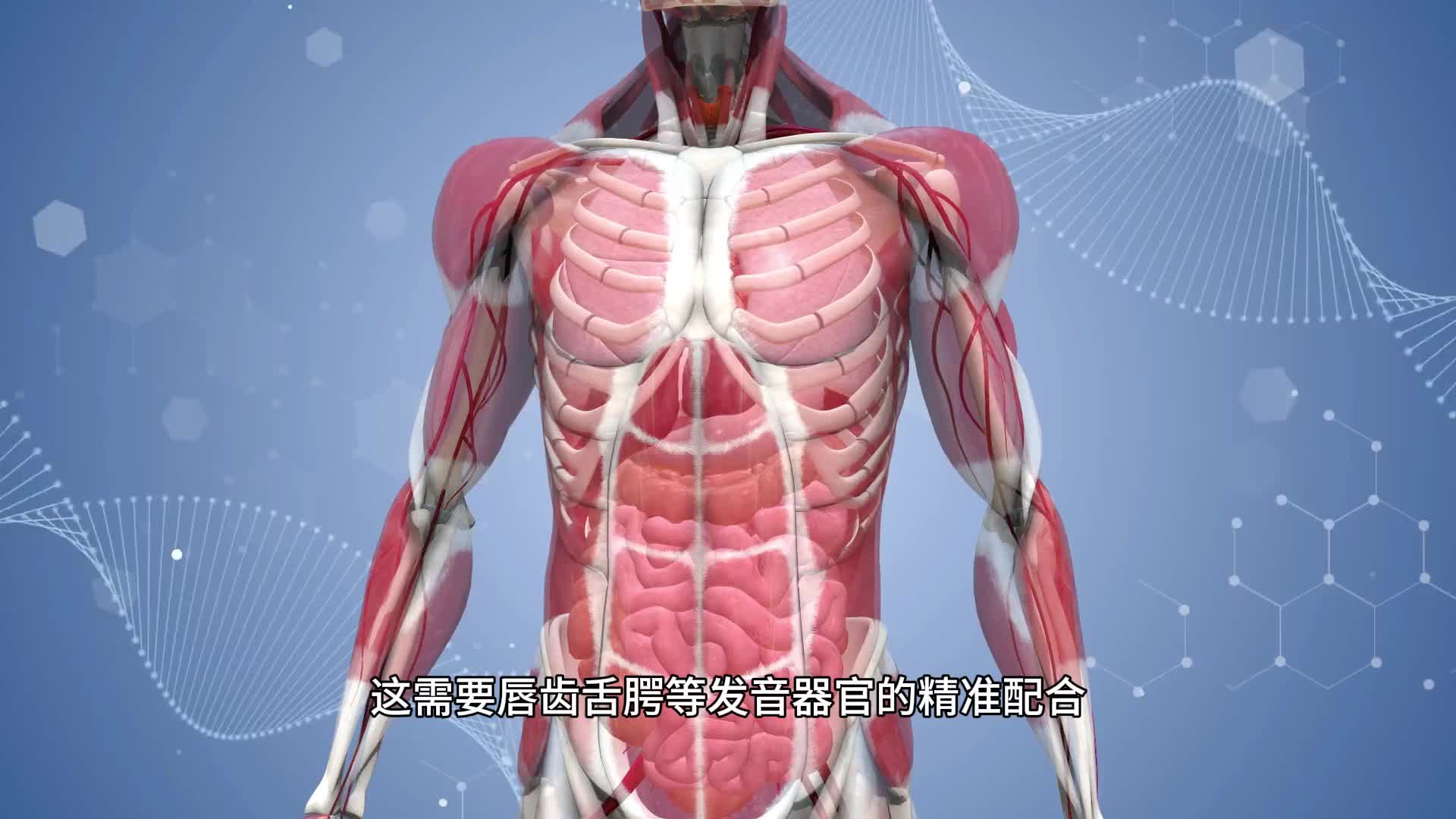 好嗓子的科学密码与艺术表达梨花声音课堂