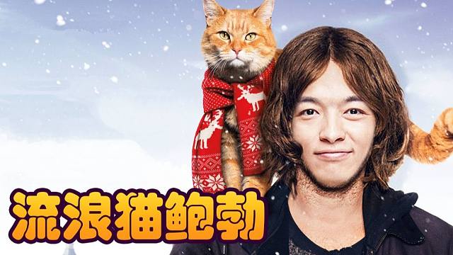 【炉石瓦莉拉】猫猫最重要的还是得活着