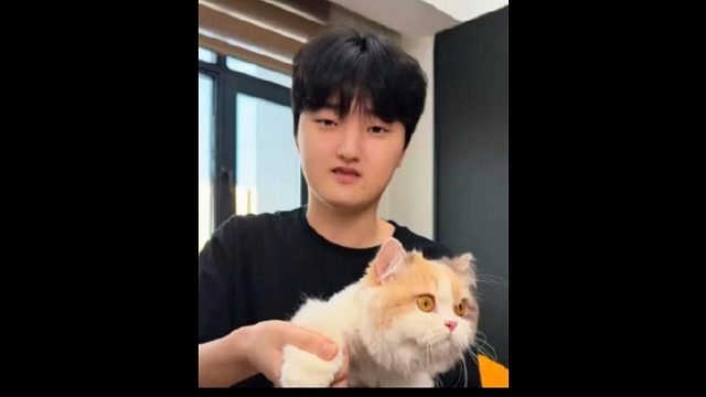 Peyz被调查网传，T1极有可能开天窗！