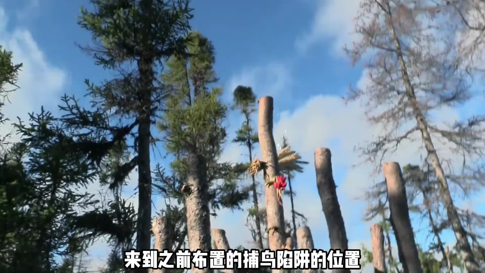 荒野独居番外版求生环境更加残酷，大佬仅是坚持了20天就被劝退 (1)