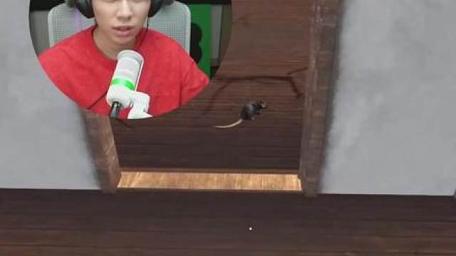 起因是我打了一只鼠鼠... 游戏：银行模拟器