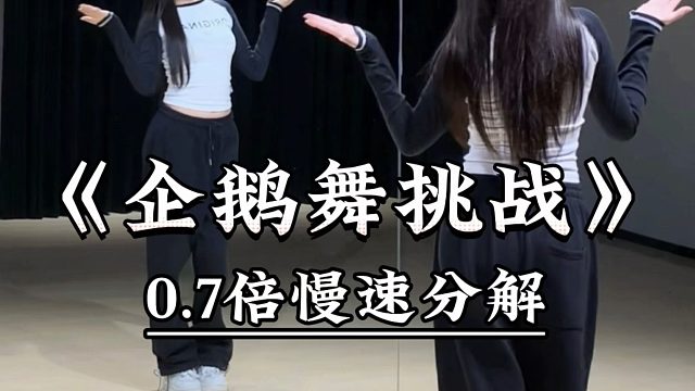 《企鹅舞挑战》慢速喊拍分解 背面