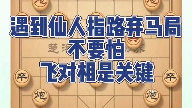 遇到仙人指路弃马局不要怕，飞对相是关键！如何快速提升象棋水平系统学棋？如何学习象棋布局、中局、残局？