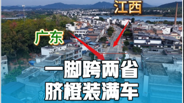 广东与江西交界处，一脚跨两省，脐橙装满车