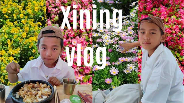 暑假西宁旅行日记vlog 我和弟弟的不完整旅行 短暂 断断续续的vlog 动物园 美食 太阳 花朵