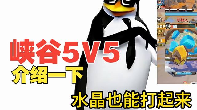 粉丝们让我介绍一下元梦峡谷5V5