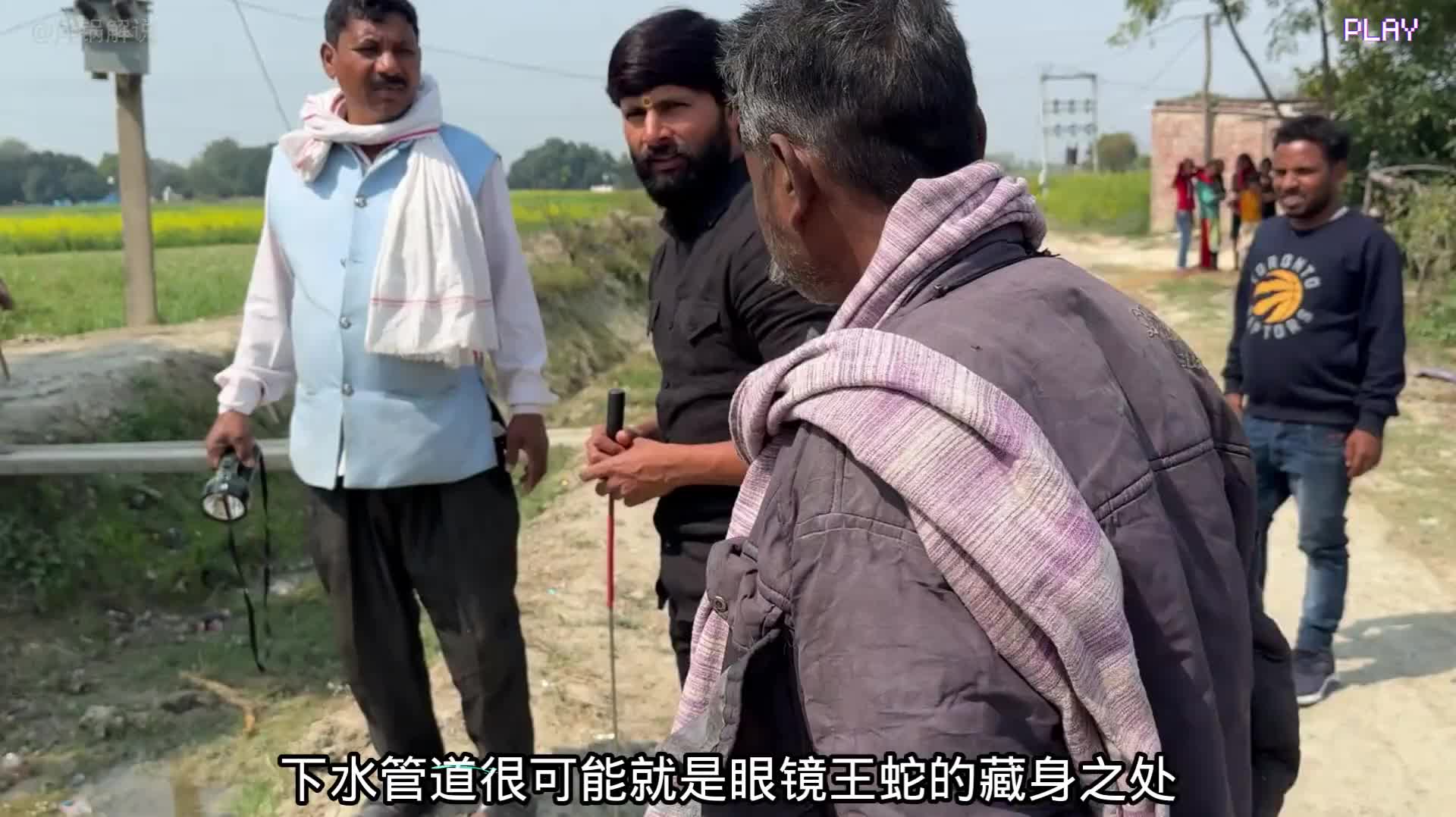 拉裤里团队受邀前来抓捕眼镜王蛇