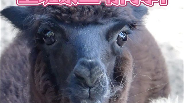 被抓包后，有点心虚但不多