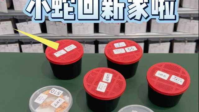 黑王蛇这么抢手？