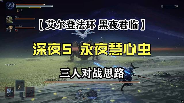 【艾尔登法环：黑夜君临】深夜5永夜慧心虫三人对战思路（近战铁眼视角）