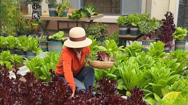 这样的小院，怎能不让人喜欢？