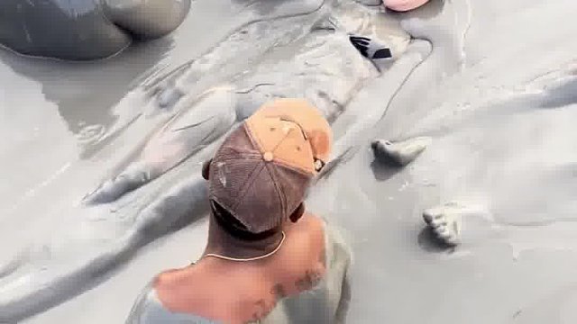 追随本心，勿困他人目光