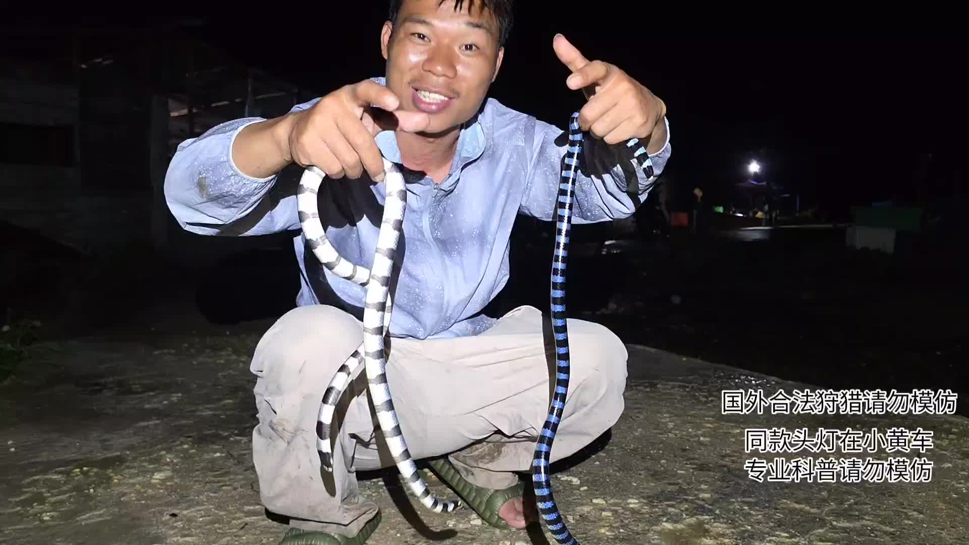 海蛇海蛇海蛇！！！！