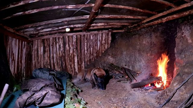 我带着狗子在荒野中，幸好一时谨慎建造出了小木棚，晚上就下起了大暴雨