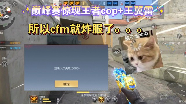 巅峰赛出现王者cop王翼雷，结果它炸服了。。。