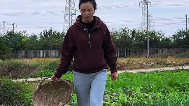 小雪腌菜正当时！教你萝卜的两种吃方法，腌着爽口，煲着鲜甜，绝了！
