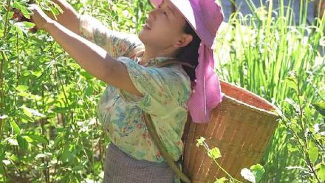 借山里草木的颜色，做一条独一无二的围巾。