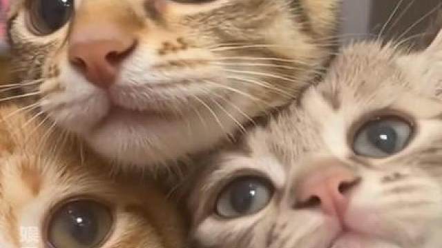 千万不要放过这个毛茸茸单品啊