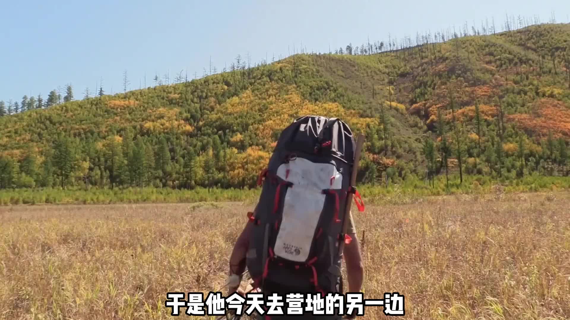 大佬用蚂蚱当诱饵钓鱼，上鱼的速度实在是太快了  (3)