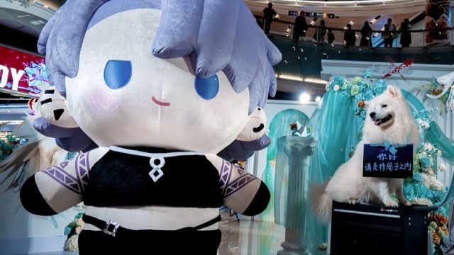 卓娅大人！偶来了耶