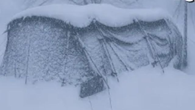 天寒地冻，小伙独自一人荒野艰难生存