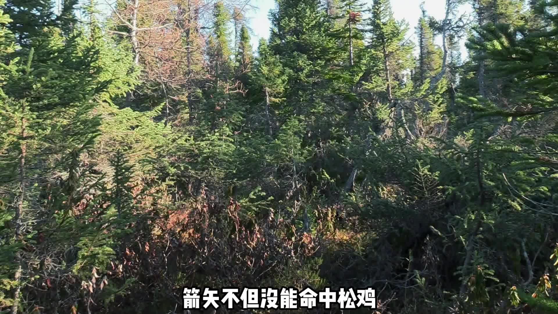 荒野独居番外版求生环境残酷，刚开始六天就有两位大佬被劝退 (3)