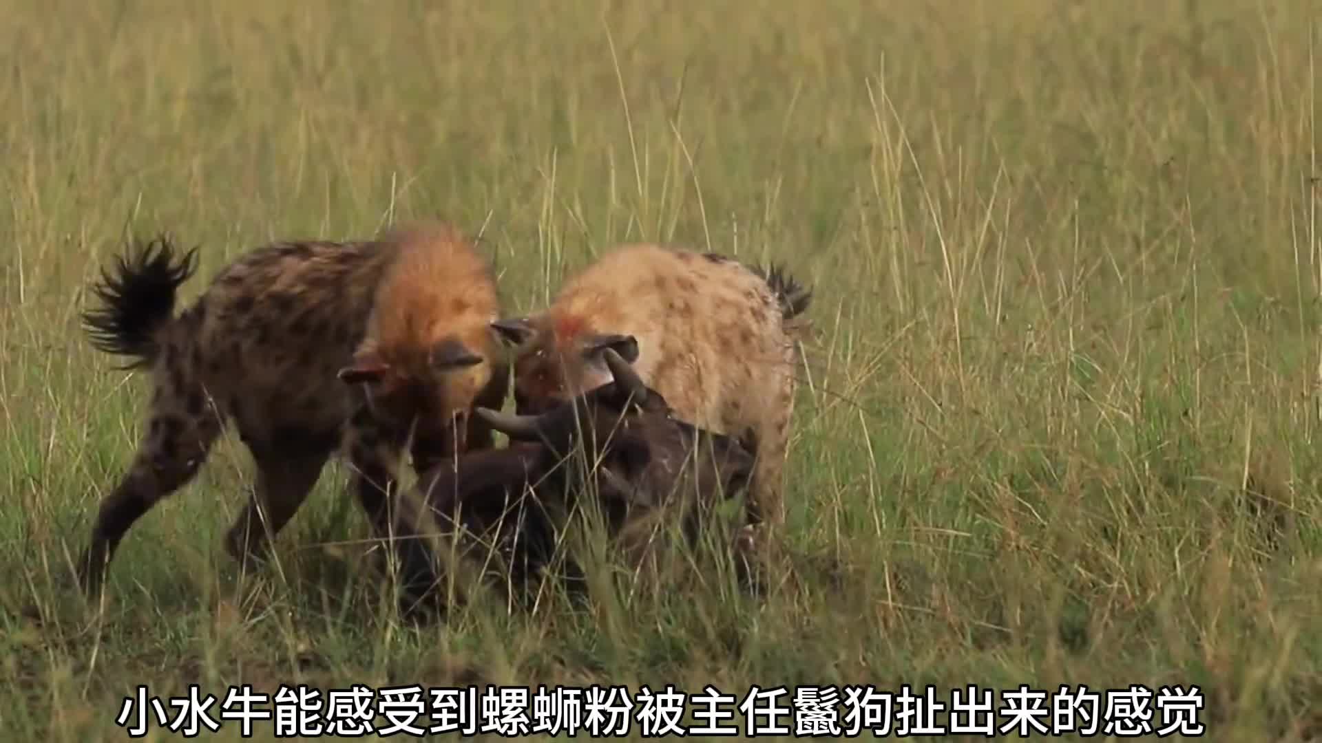这样活着受尽折磨太难受了