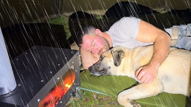 热帐篷外的电闪雷鸣暴风雪，和我的狗子躲在里面，在暴雨中露营