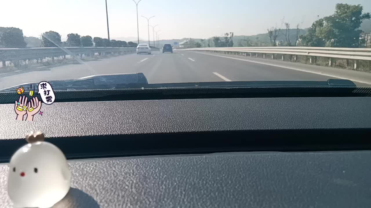 新主播 求多关注-片段4