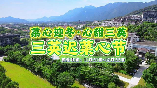 三英迟菜心节
️菜心迎冬·心甜三英
 11月21日~22日，正式启幕！