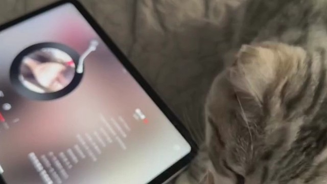 那天你对我恶语相向 我愣住了 思绪回到我们承诺不分离的那一天 我尝试与你沟通但是就像拳头打在棉花上