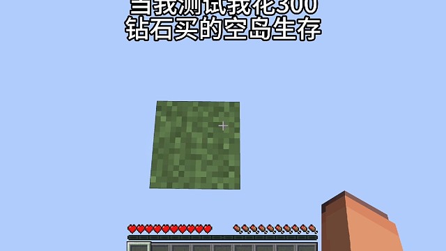 当我花300钻石买的空岛生存