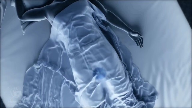 为什么失眠时夜尿会增多，失眠机制，3D演示。。