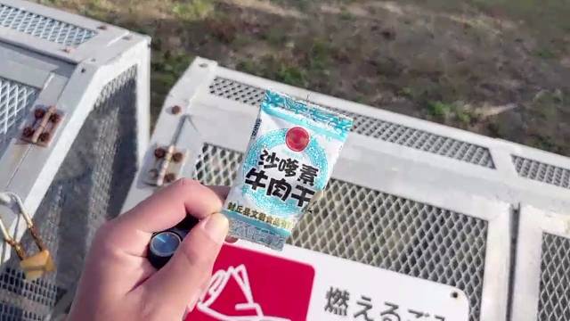 这个垃圾必须捡走扔了…