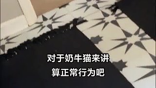 到正品奶牛了  ?