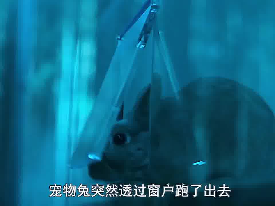 女人只是眨了眨眼结果森林里竟出现一道隐形门