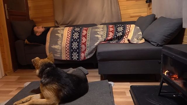 暴风雪来了，夜晚大雪纷飞，我和狗子躲在小木屋睡觉太温馨了