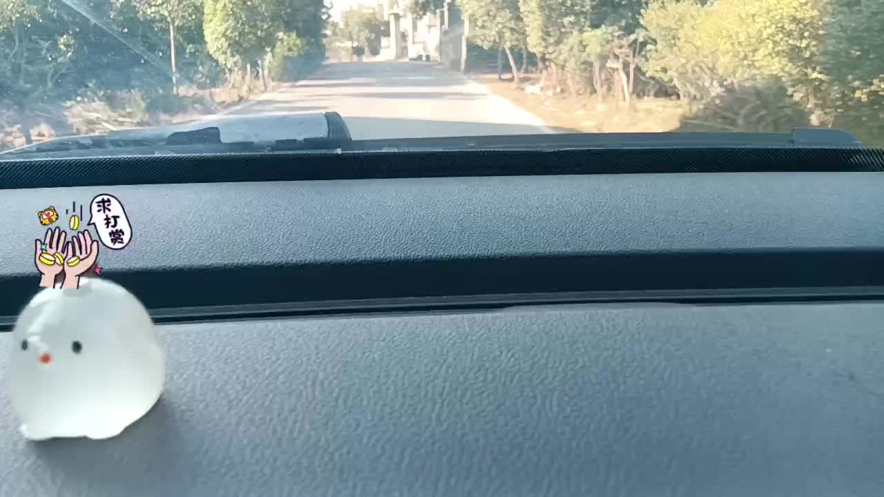 摘橘子路上聊天哈哈