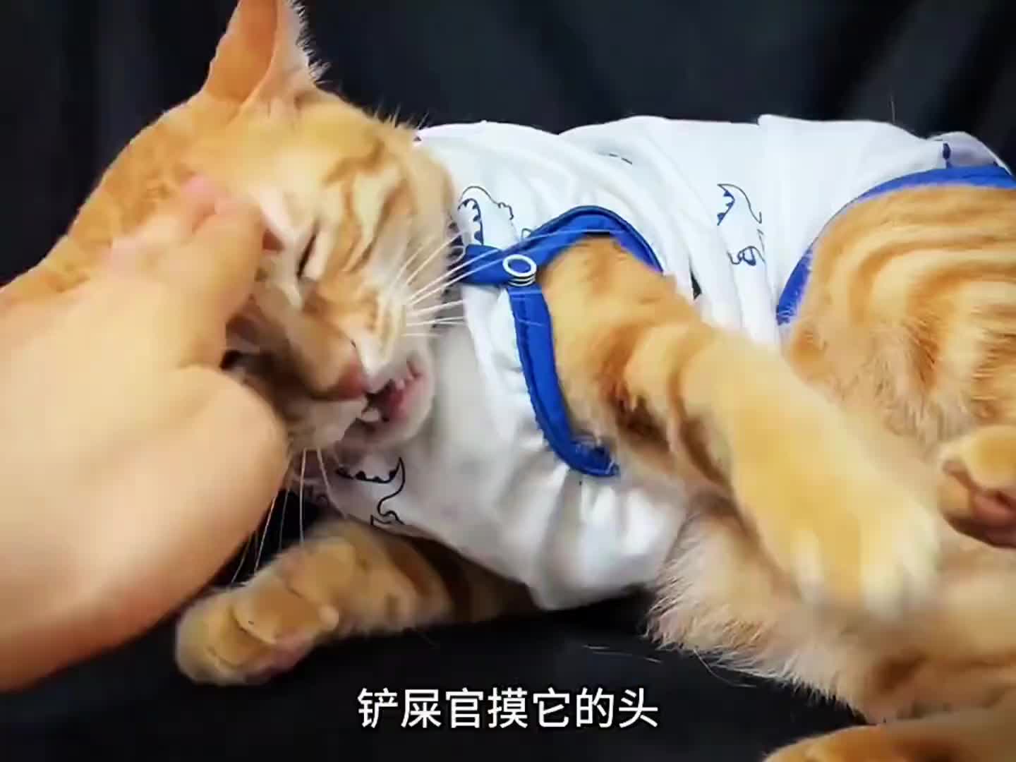 这下彻底完了 (2)