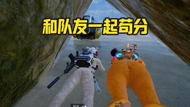 海岛最新老六洞穴