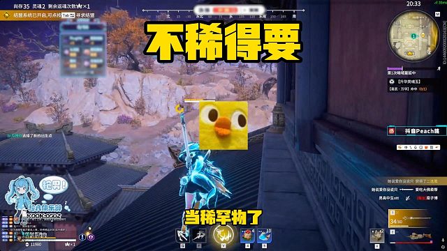 11月24日 嘿嘿 我录像又没录上