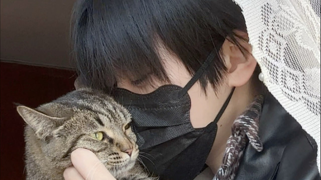 起初只是展示下发型，结果小猫真香啊