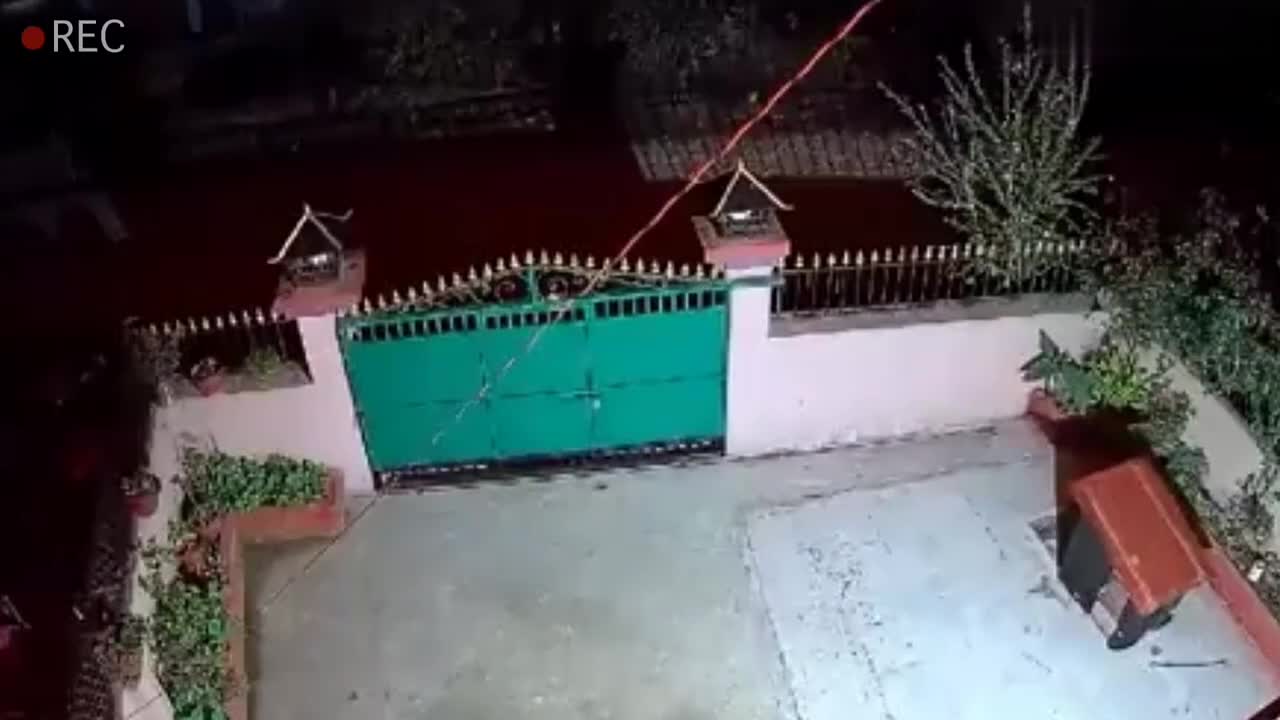 兢兢业业的二狗子好好看个大门，不料半夜竟葬送了小命