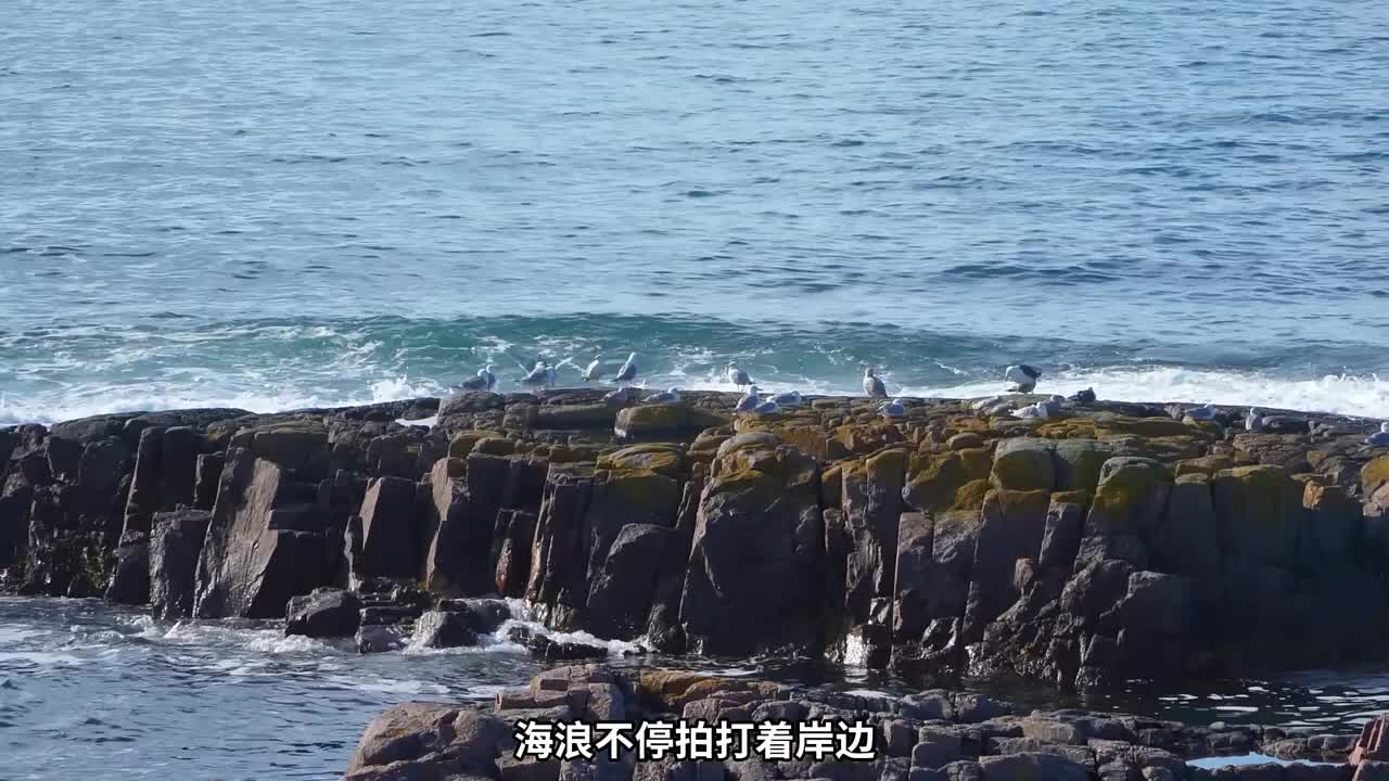 第1集：流落荒岛的男人，在野外给自己搭建了舒适的小屋