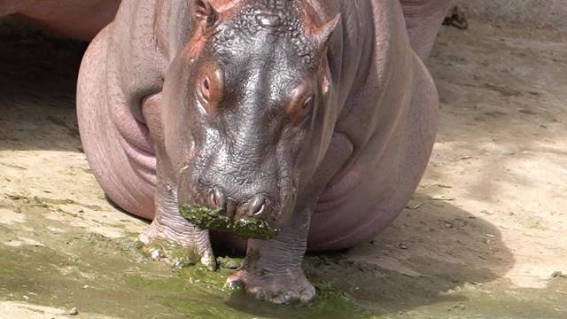 降温啦一起出来晒晒太阳